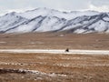 Beautiful Mongolian winter landscape snow mountain with a small figure of a ride on a black motorcycle through a wide snow-covered