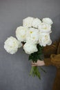 The beautiful mono bouquet of lush white peonies in woman`s hand