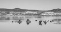 Beautiful Mono Lake