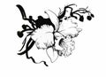 Beautiful monochrome, black and white flower isolated. Hand-drawn contour lines strokes.