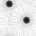 Beautiful monochrome, black and white seamless background with gerbera flower . Royalty Free Stock Photo