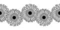 Beautiful monochrome, black and white seamless horizontal frame element of gray gerbera flowers. Royalty Free Stock Photo