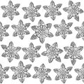 Beautiful monochrome Flowers set. Vector seamless pattern Royalty Free Stock Photo