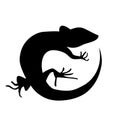 Beautiful monochrome lizard, lizard silhouette Royalty Free Stock Photo