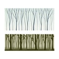 Beautiful monochrome seamless background with lifeless forest trees silhouettes set vector illustration Royalty Free Stock Photo