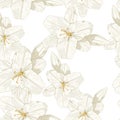 Beautiful monochrome, sepia outline seamless pattern with lilies.