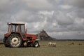 Beautiful Mont Saint Michel cathedral on the island, Normandy, Northern France, Europe. with livestock of sheeps. View at the Mont Royalty Free Stock Photo