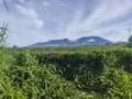 The beautiful montain of gede pangrango Royalty Free Stock Photo