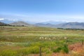 Beautiful Montana landscape