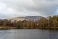 Morning light at Tarn Hows in the English Lake District with views of Yewdale Crag, and Holme Fell during autumn