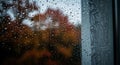 Autumn rain drops cling to a dark window pane Royalty Free Stock Photo