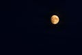 A beautiful moon with details on a dark evening sky Royalty Free Stock Photo
