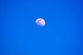 Beautiful moon with its craters seen in the clear daytime sky Royalty Free Stock Photo