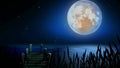 Beautiful moon on lake, best loop video background