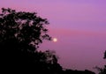 A beautiful moon on lovely pink sunset sky