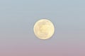 Beautiful moon on  soft pink sky, Beautiful moon on soft pink sky, astrological background. Royalty Free Stock Photo