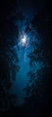 Beautiful moonlight beautiful moon Royalty Free Stock Photo