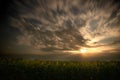 Beautiful moonrise during a thunderstorm over a field of sunflowers at night Royalty Free Stock Photo