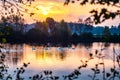 Moor lake landscape