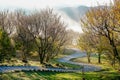 Beautiful morning in AlishanAli mountain National Park, Taiwan