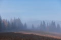 Beautiful morning fog and sunbeams on the mountain slope in the autumn pine forest Royalty Free Stock Photo