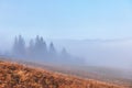 Beautiful morning fog and sunbeams on the mountain slope in the autumn pine forest Royalty Free Stock Photo