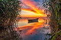 Beautiful morning landscape with a boat on the lake at the sunrise through the reed Royalty Free Stock Photo