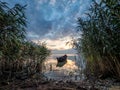 Beautiful morning landscape with a boat on the lake at the sunrise through the reed