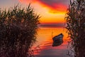 Beautiful morning landscape with a boat on the lake at the sunrise through the reed