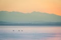 A beautiful morning landscape with ducks swimming in the mountain lake with mountains in distance. Sunset scenery in light colors. Royalty Free Stock Photo