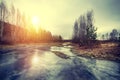 A beautiful morning landscape in a frozem swamp in Russia. A small swamp ponds in autumn sunny day. Quagmire un wetlands with Royalty Free Stock Photo