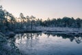 A beautiful morning landscape in a frozem swamp. A small swamp ponds in autumn. Quagmire un wetlands with reflections. Royalty Free Stock Photo