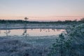 A beautiful morning landscape in a frozem swamp. A small swamp ponds in autumn. Quagmire un wetlands with reflections. Royalty Free Stock Photo