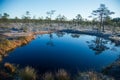 A beautiful morning landscape in a frozem swamp. A small swamp ponds in autumn. Quagmire un wetlands with reflections. Royalty Free Stock Photo