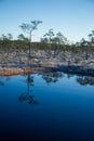 A beautiful morning landscape in a frozem swamp. A small swamp ponds in autumn. Quagmire un wetlands with reflections. Royalty Free Stock Photo