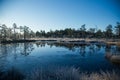 A beautiful morning landscape in a frozem swamp. A small swamp ponds in autumn. Quagmire un wetlands with reflections. Royalty Free Stock Photo