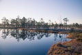 A beautiful morning landscape in a frozem swamp. A small swamp ponds in autumn. Quagmire un wetlands with reflections. Royalty Free Stock Photo