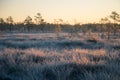 A beautiful morning landscape in a frozen swamp. Bright, colorful sunrise in frozen wetlands.