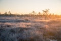 A beautiful morning landscape in a frozen swamp. Bright, colorful sunrise in frozen wetlands.