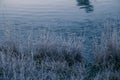 A beautiful morning landscape in a frozen swamp. Bright, colorful sunrise in frozen wetlands.