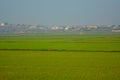 Beautiful morning landscape over green rice fields. In the back hills with a village surrounded by mist Royalty Free Stock Photo