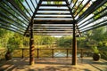 Beautiful morning landscape view from the gazebo of the flamingo pond in Putrajaya Wetlands Park