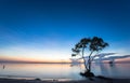 Beautiful morning landscapes with blue sky at the beach