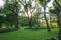 Beautiful morning light in central city park with grass field and wooden chair Royalty Free Stock Photo