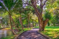 Beautiful morning light in in Lumpini Park Royalty Free Stock Photo