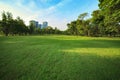 beautiful morning light in public park with grass field and green environment use as background,backdrop Royalty Free Stock Photo