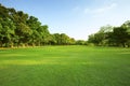 Beautiful morning light in public park with green grass field an Royalty Free Stock Photo