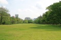 Beautiful morning light in public park with green grass field and green fresh tree plant Royalty Free Stock Photo