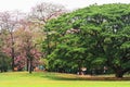 Beautiful morning light in public park