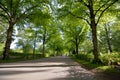 Beautiful morning light in Uppsala Cemetery with green grass field Royalty Free Stock Photo